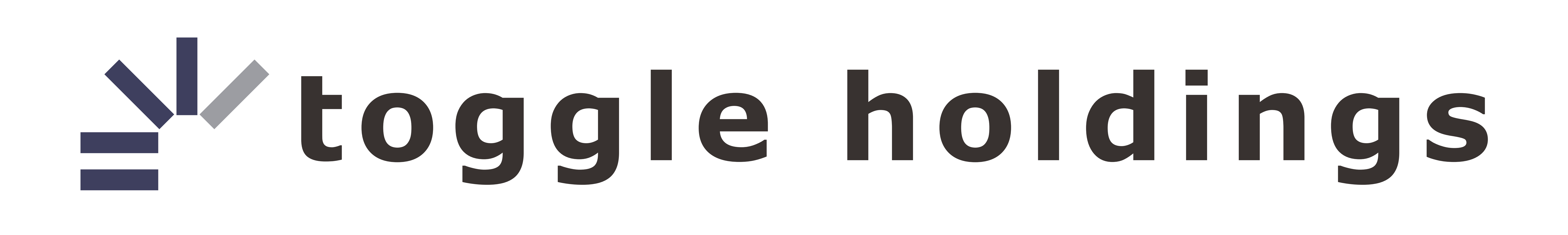 トグルホールディングス株式会社logo
